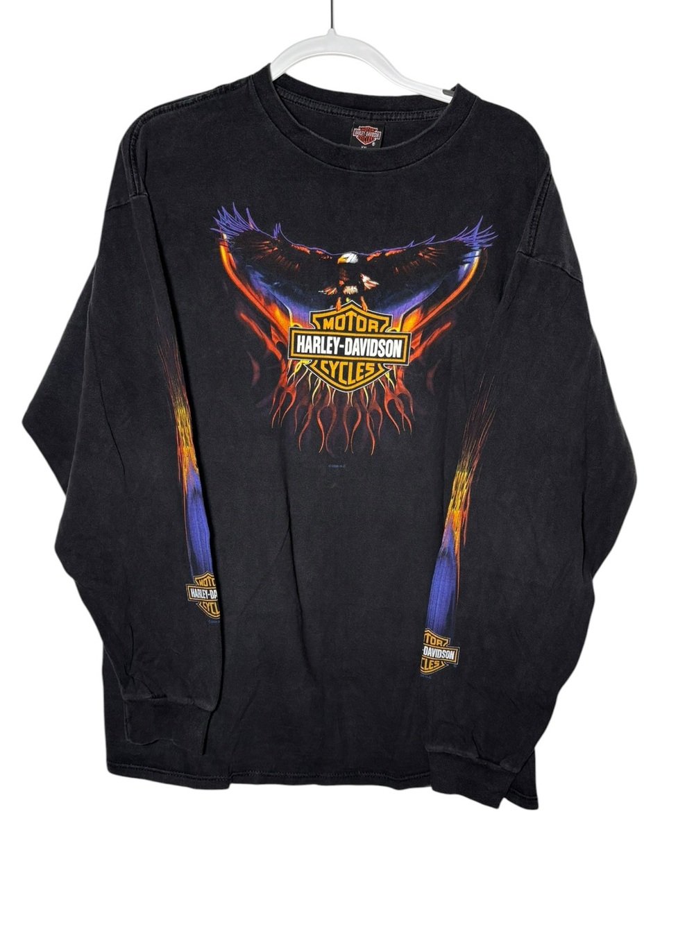 Vintage 2000 Harley Davidson Erie PA Eagle Flame Long Sleeve Shirt XXL